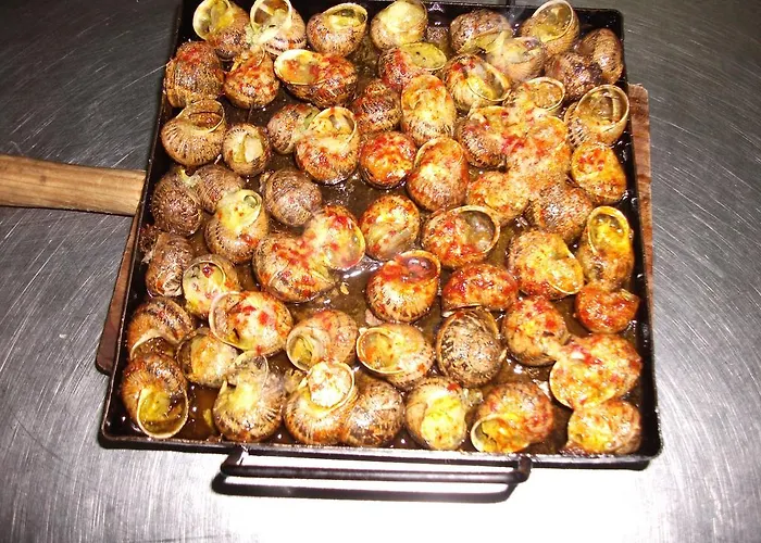 Hotel que admite mascotas: Hostal Oasis